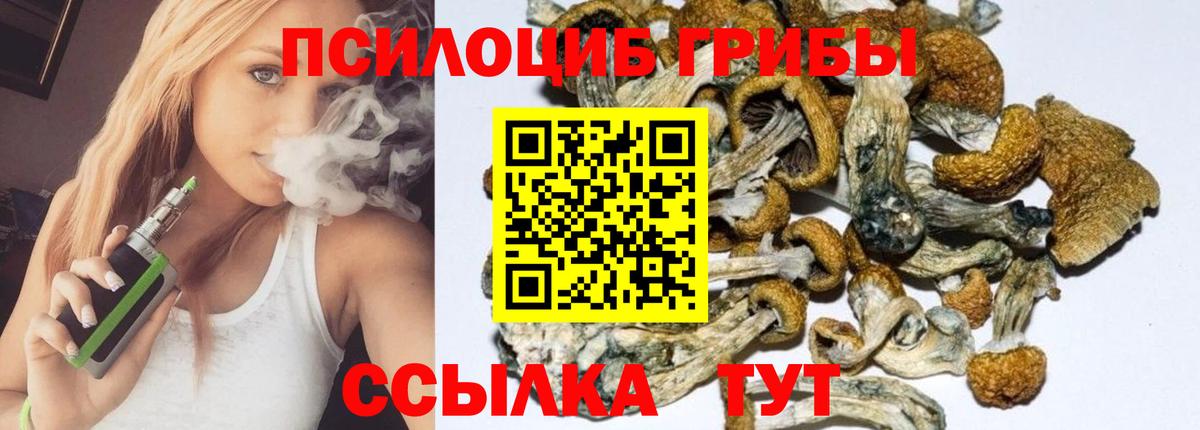 Галлюциногенные грибы GOLDEN TEACHER  Вход с VPN  Ртищево 